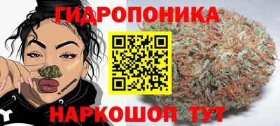 прущие грибы Ликино-Дулёво