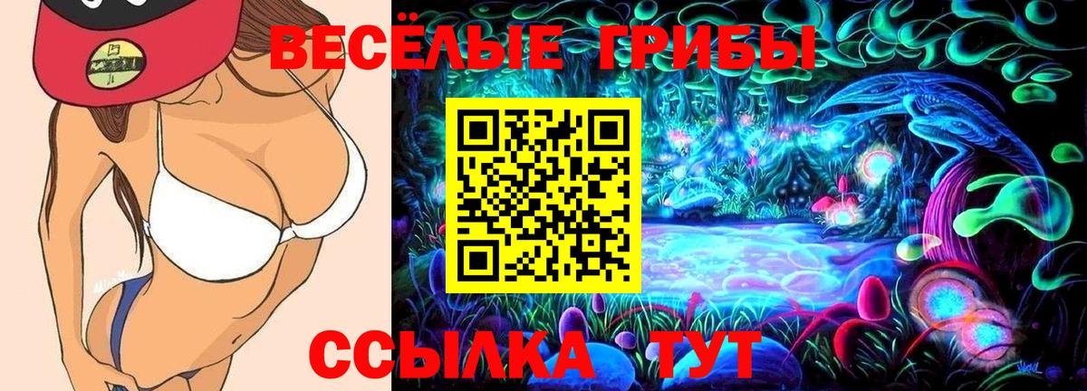 Псилоцибиновые грибы MAGIC MUSHROOMS Мегион